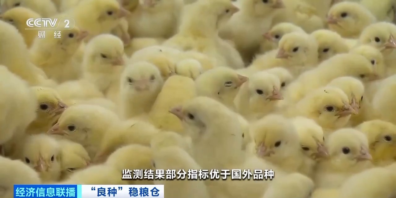 888u集团(中国)有限公司