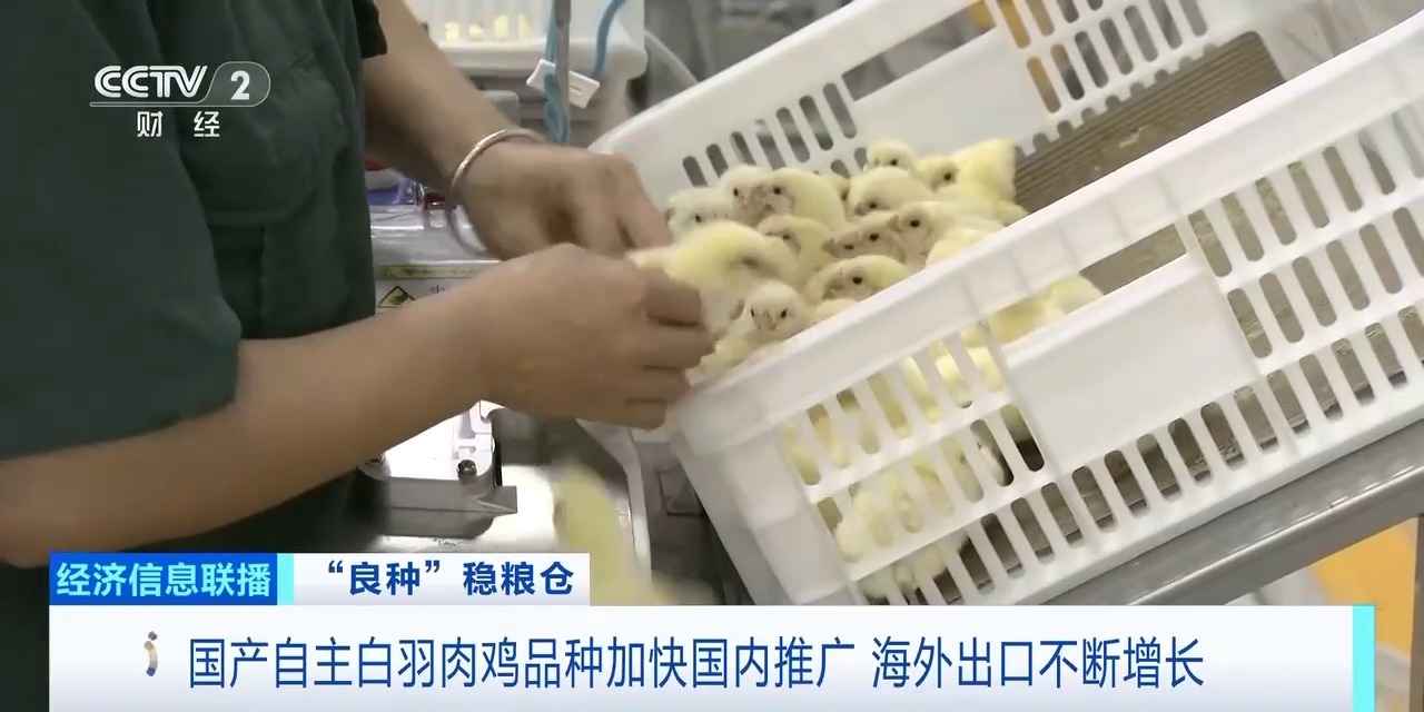 888u集团(中国)有限公司